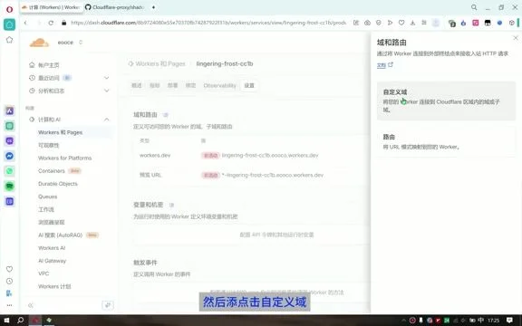 添加自定义域名设置页面