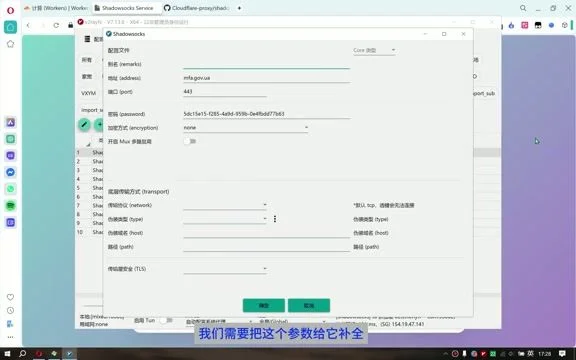 V2RayN 客户端参数手动修改界面