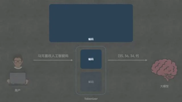 编码流程:切分与映射
